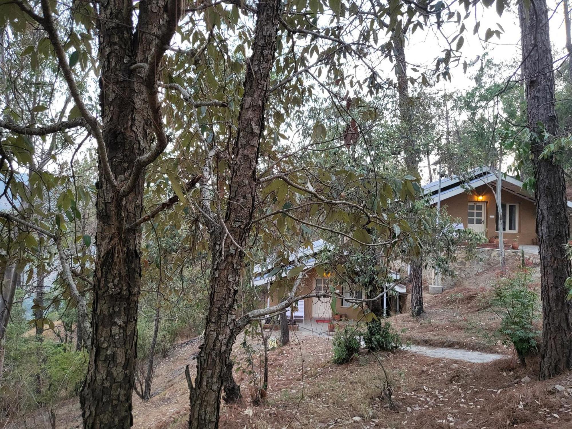 Rainbow Resorts Solan Quarto foto